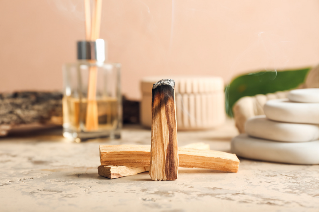 What is Palo Santo?