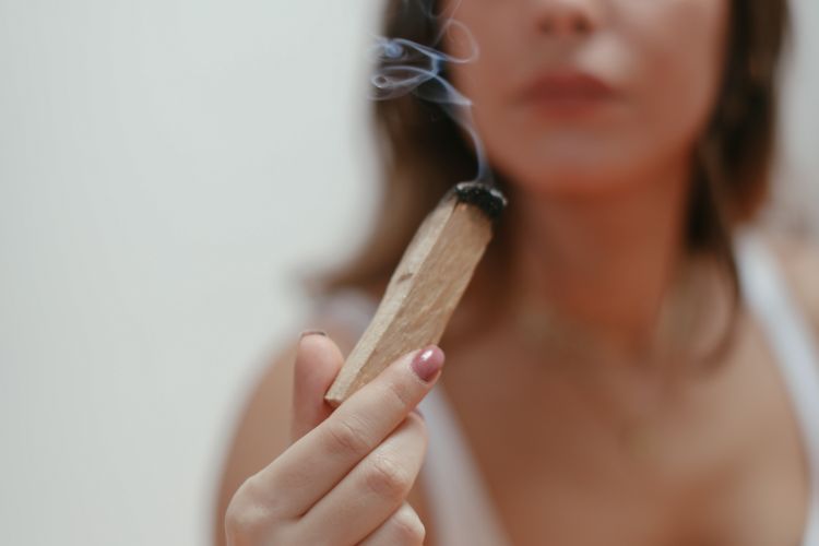 Palo Santo vs. white sage: which smudge stick is right for you?