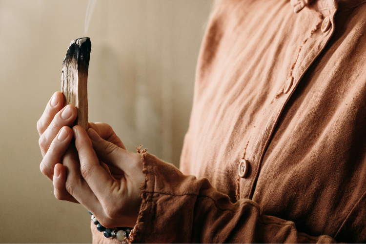 What is Palo Santo? Meaning, benefits, and how to use it