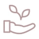 Seeds of Wonder