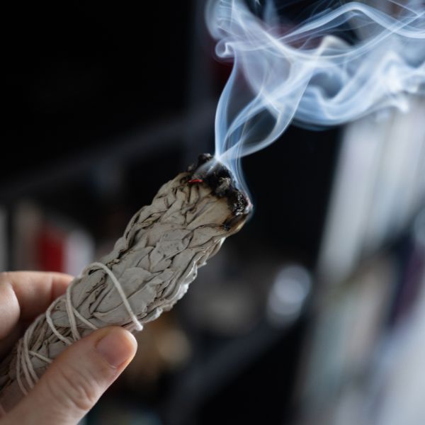 Small White Sage Smudge Sticks – Energy Cleansing & Purification – Seeds of Wonder