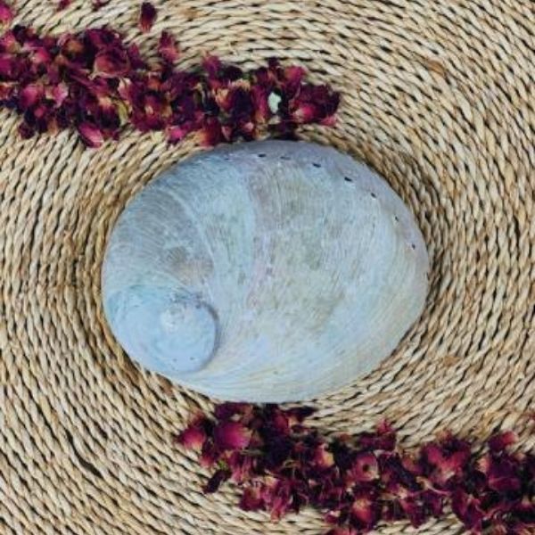 Back of small raw sustainably sourced abalone shell on rattan mat with rose petals