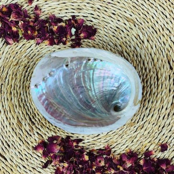 Inside of small raw sustainably sourced abalone shell on rattan mat with rose petals